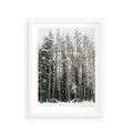 Plakat w ramie 30x40 - Sypiący Śnieg - las w zimie, drzewa pod śniegiem - rama biała