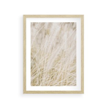 Plakat w ramie 50x70 - Białe Trawy Pampas - suche trawy, białe trawy - rama drewno