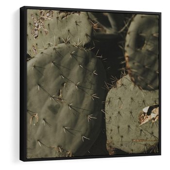 Obraz w ramie 50x50 - Urok Egzotyki - kaktusy, boho - rama czarna