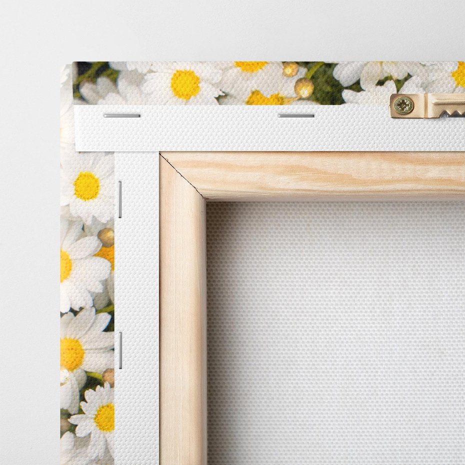 Obraz na płótnie 80x120 - Delikatność Kwiatowej Przyrody - stokrotki, kwiaty