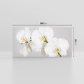 Obraz na płótnie 140x70 - kwiatowy urok - orchidea, kwiat