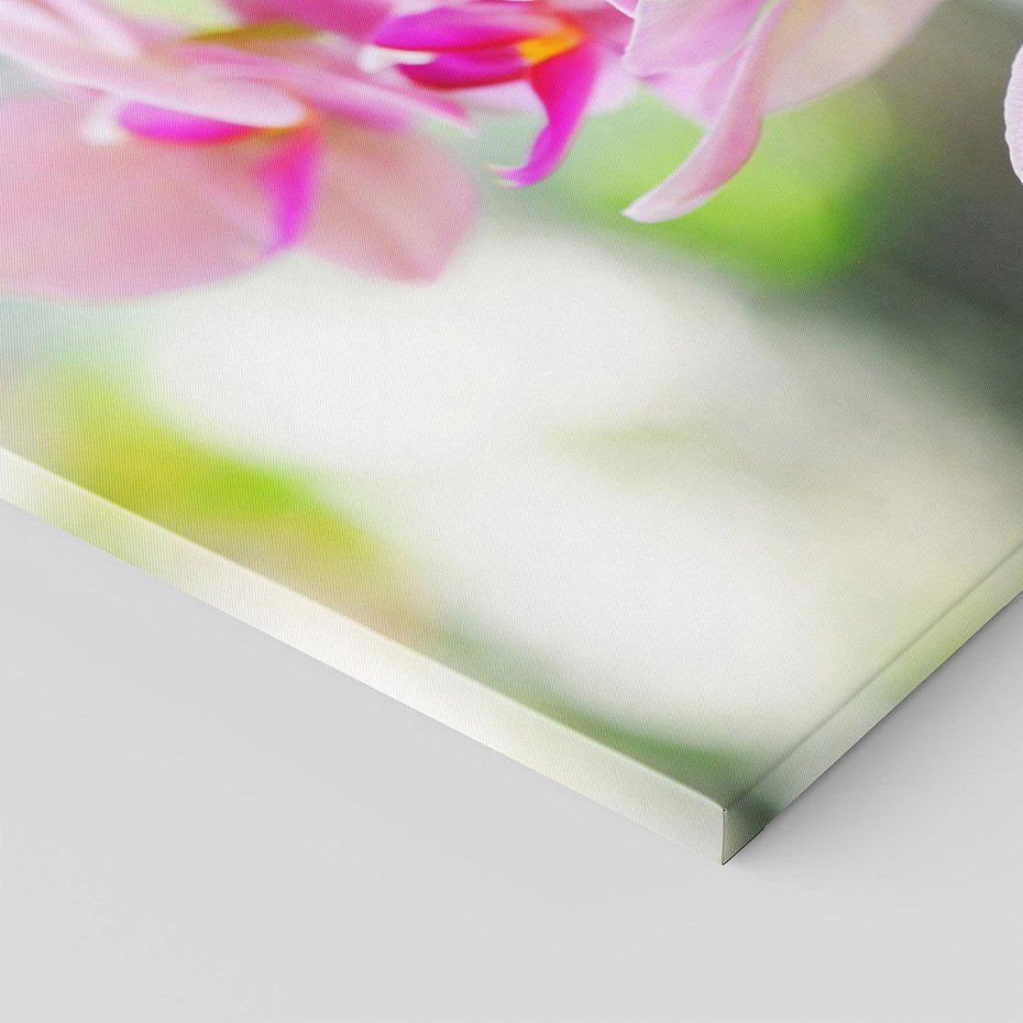Obraz na płótnie 120x60 - Elegancja orchidei - orchidea, kwiaty