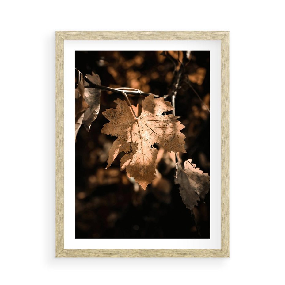 Plakat w ramie 50x70 - Uroczy Liść na Drzewie - jesienny liść, żółty liść na drzewie - rama drewno