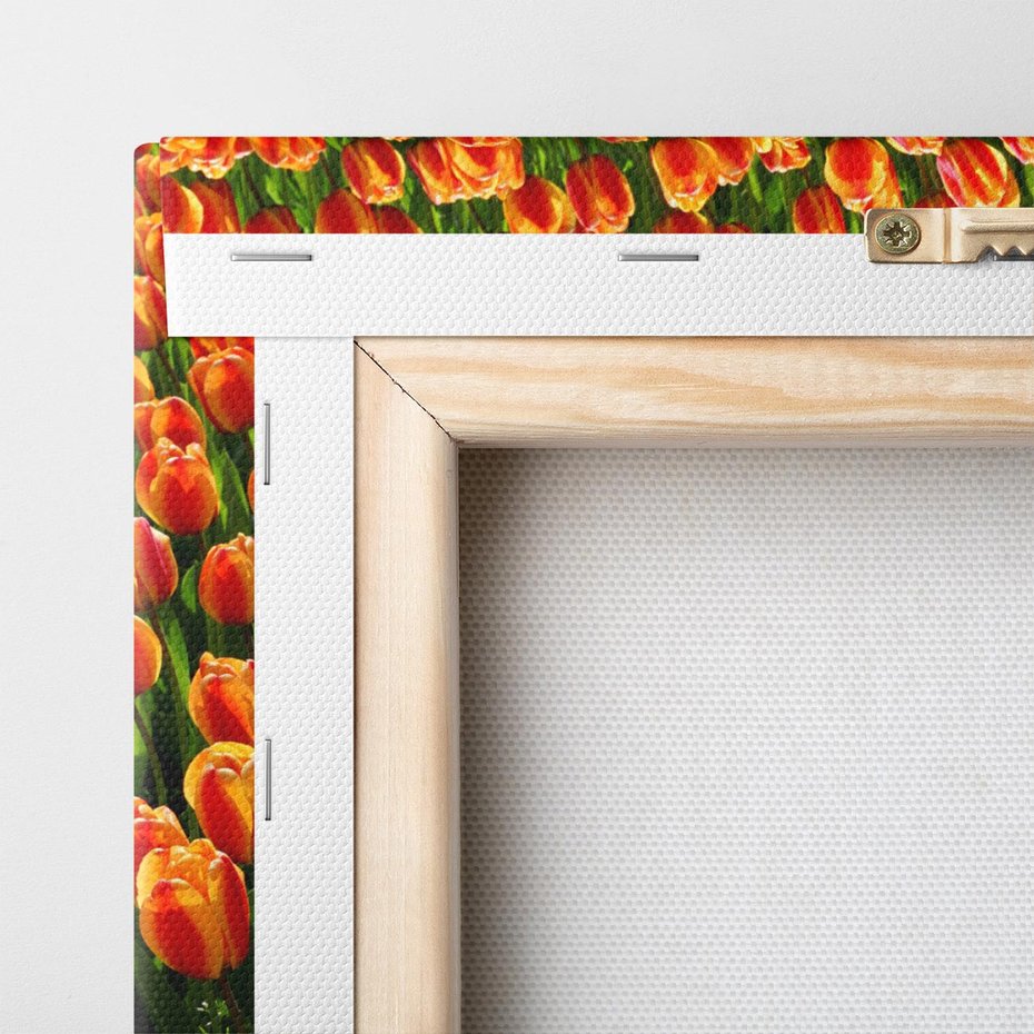 Obraz na płótnie 120x80 - Urok tulipanów piękno kwiatów - tulipany, kwiaty