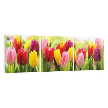 Obraz na płótnie 120x40 - delikatność kwiatowego świata - tulipany, kwiaty
