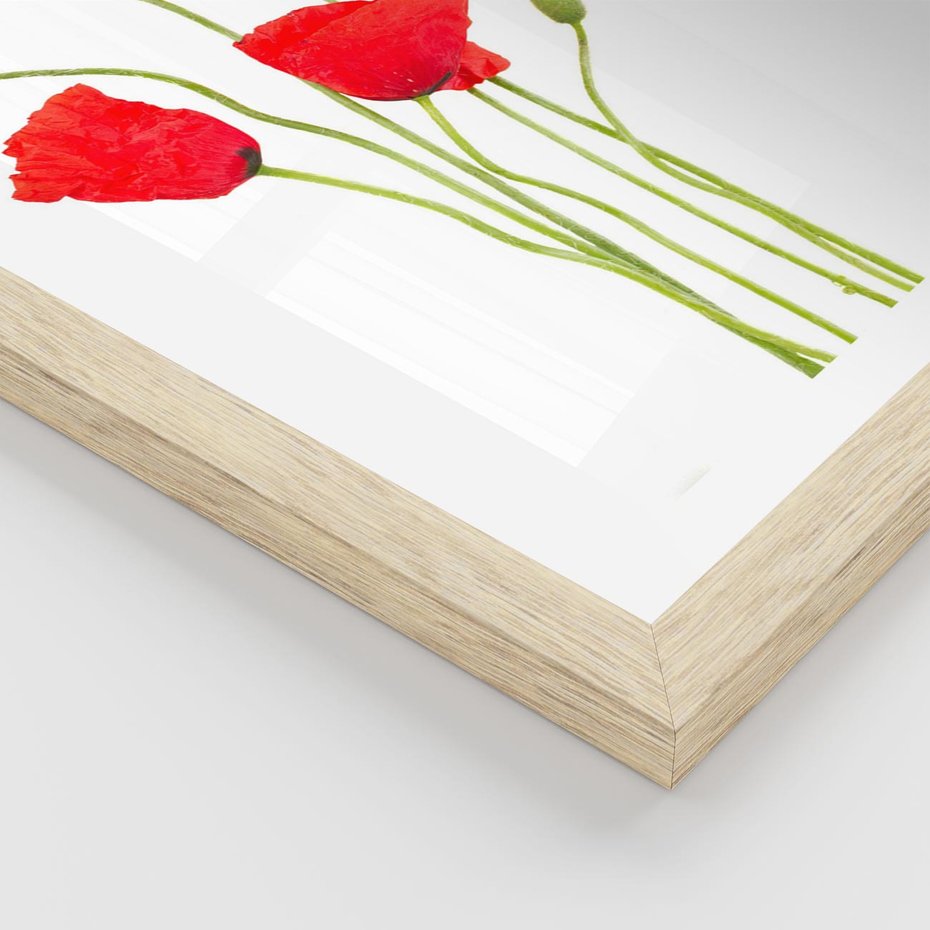 Plakat w ramie 30x40 - Pola maków w pełnym kolorze - maki, kwiaty - rama drewno