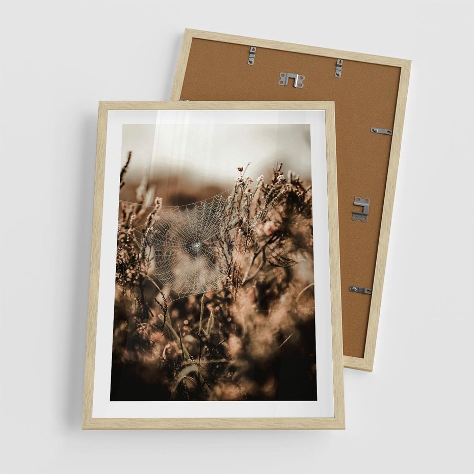 Plakat w ramie 50x70 - Jesienny Mikrokosmos - suchetrawy, jesienny klimat - rama drewno