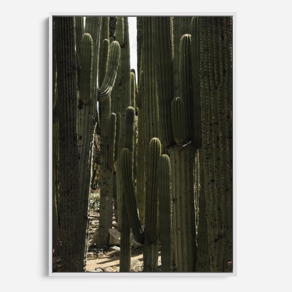 Obraz w ramie 80x120 - Wyjątkowy Klimat Boho - kaktusy, pustynia - rama biała