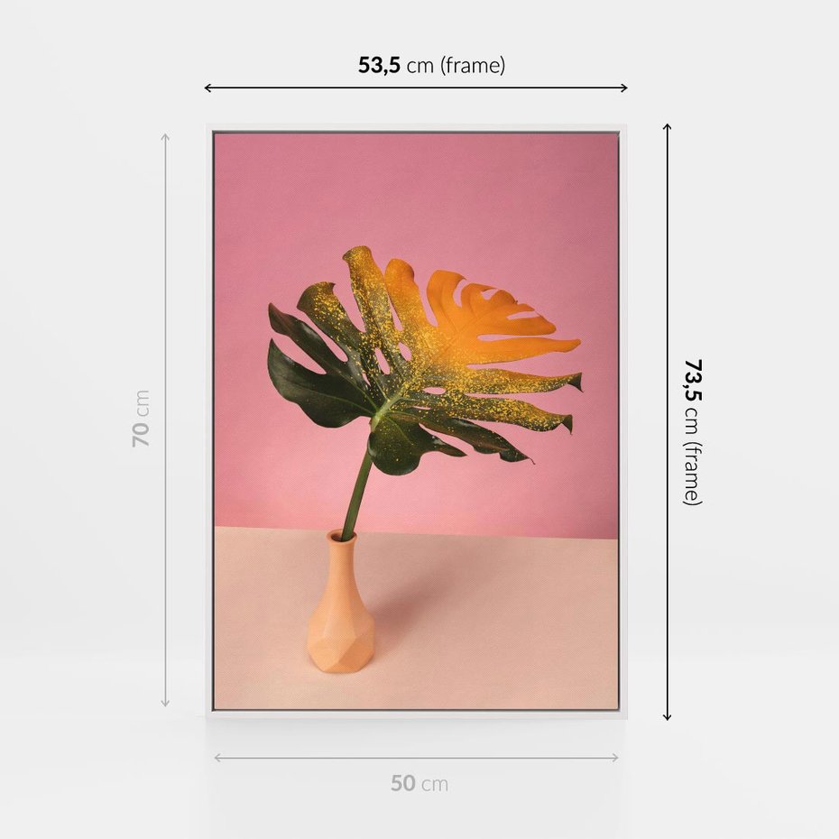 Obraz w ramie 50x70 - Egzotyczna monstera - monstera, liść - rama biała