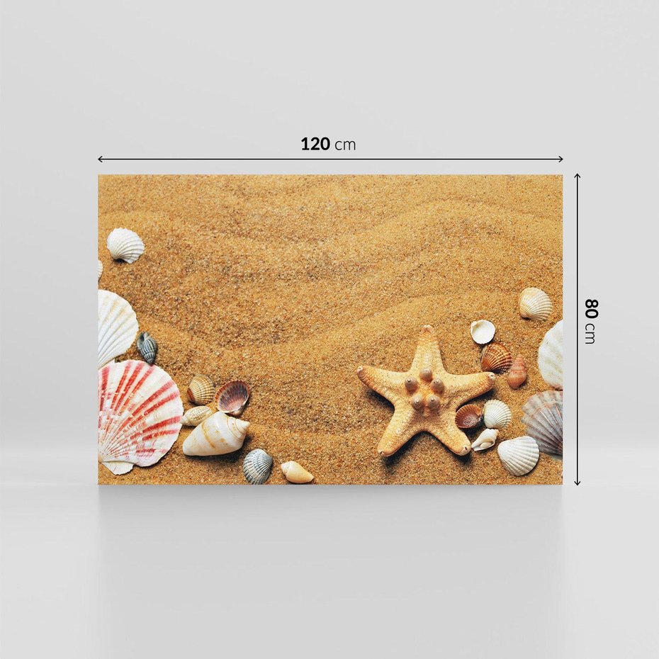 Obraz na płótnie 120x80 - Muszelki na malowniczej plaży - muszle, muszelki