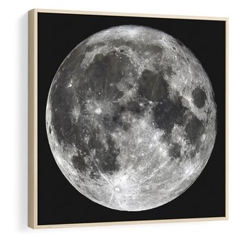 Obraz w ramie 80x80 - Księżycowa Aura - zdjęcie, ogromny księżyc na czarnym tle - rama drewno