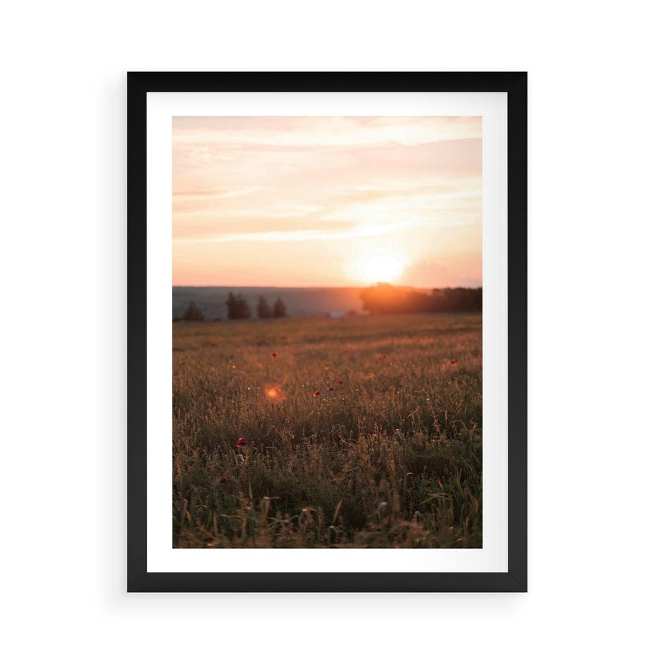 Plakat w ramie 50x70 - Łąka we Wschodzącym Słońcu: Magia Poranka - łąka, krajobraz - rama czarna