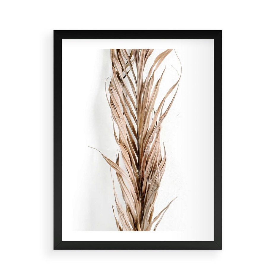 Plakat w ramie 50x70 - Minimalizm Palmowy: Sucha Uroda - sucha palma, minimalizm - rama czarna
