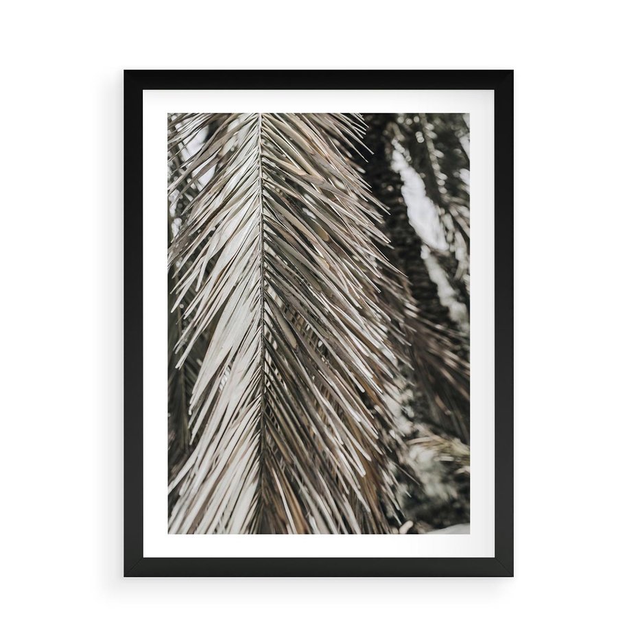 Plakat w ramie 50x70 - Egzotyczne Gałęzie - suche gałęzie, liście palmy - rama czarna