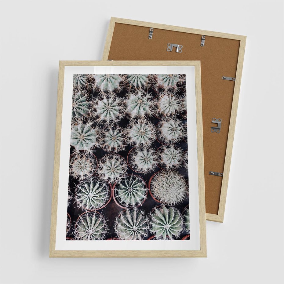 Plakat w ramie 50x70 - Wzór Kaktusów - kaktusy w doniczkach, ujęcie z góry - rama drewno