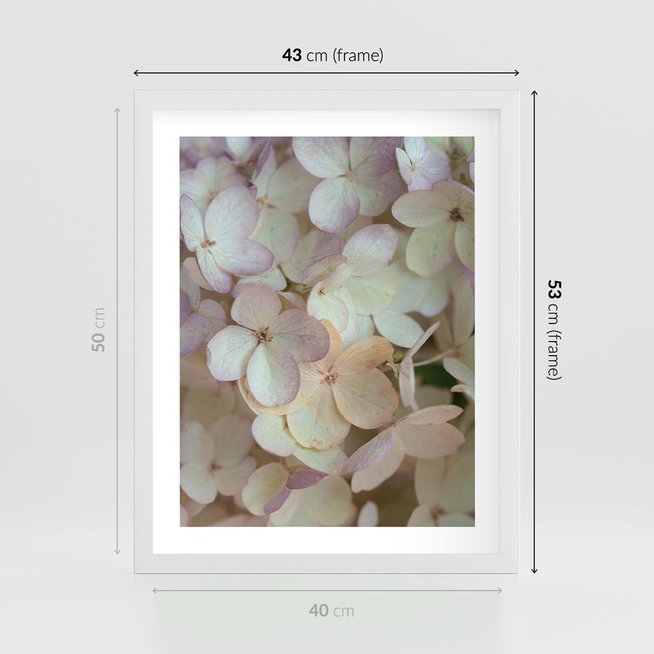 Plakat w ramie 40x50 - Kwiatowy taniec - kwiaty, hortensje - rama biała