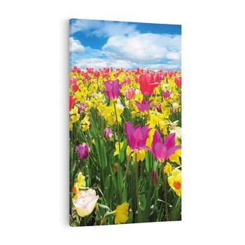 Obraz na płótnie 80x120 - tulipany na łące - kwiaty, tulipany