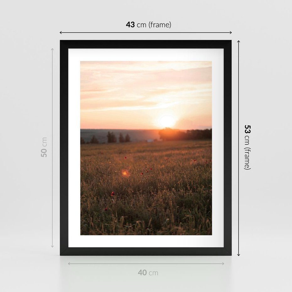 Plakat w ramie 40x50 - Łąka we Wschodzącym Słońcu: Magia Poranka - łąka, krajobraz - rama czarna