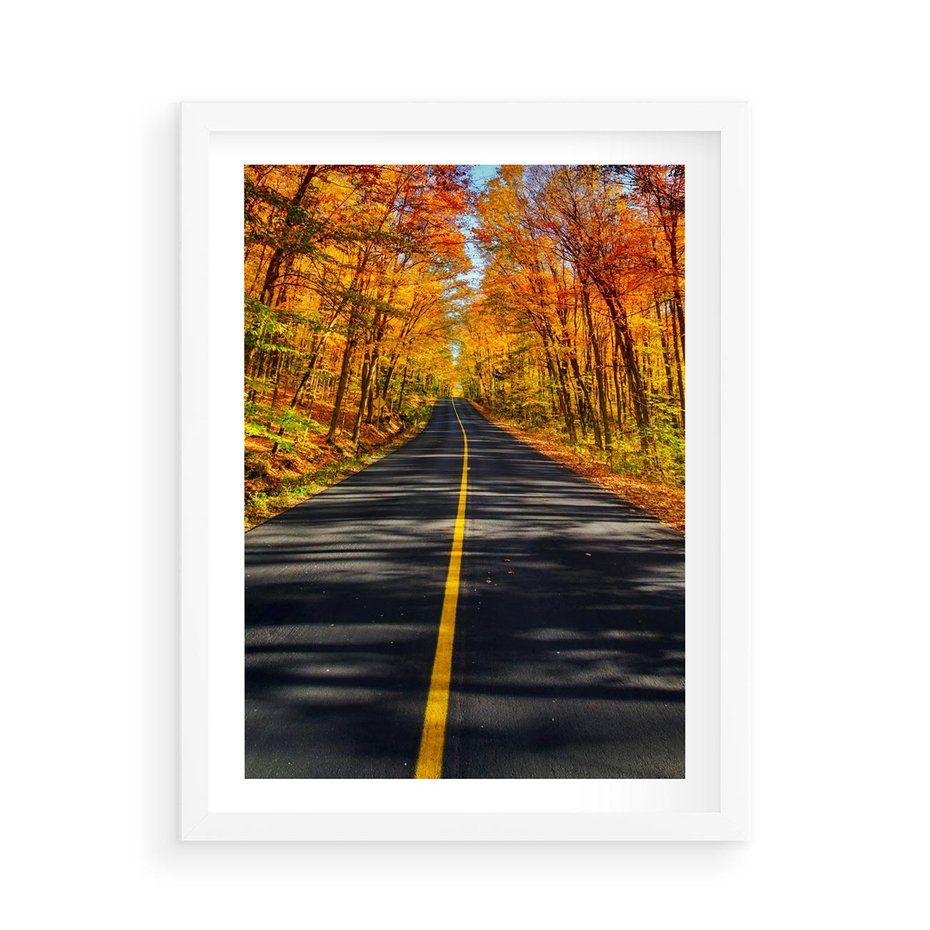 Plakat w ramie 50x70 - Droga przez jesienny las - droga, las - rama biała