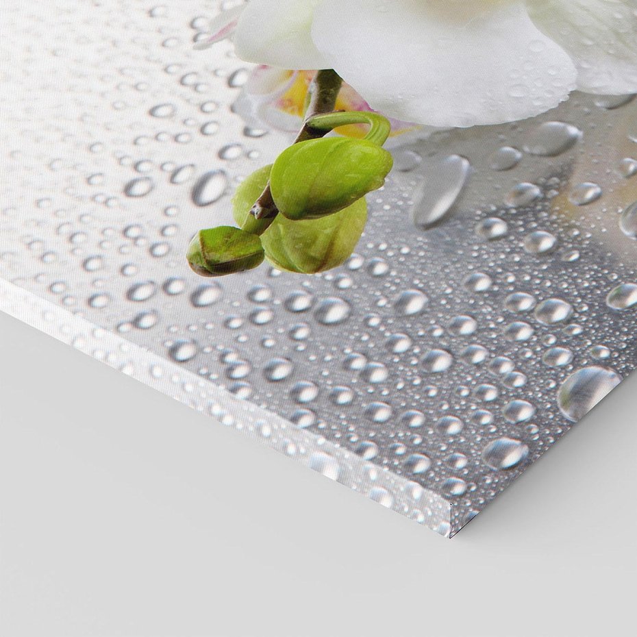 Obraz na płótnie 100x70 - Kwiatowy rój - kwiaty, kwiat