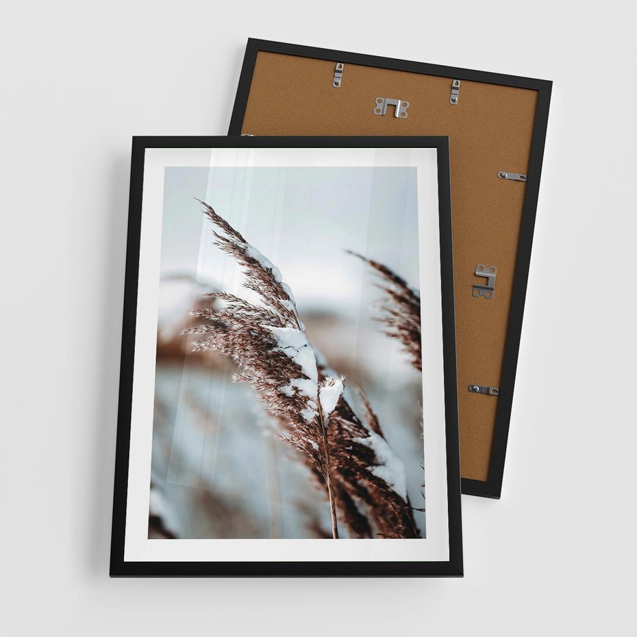 Plakat w ramie 50x70 - Zima na Suchych Trawach - suche trawy, śnieg wysokich na trawach - rama czarna