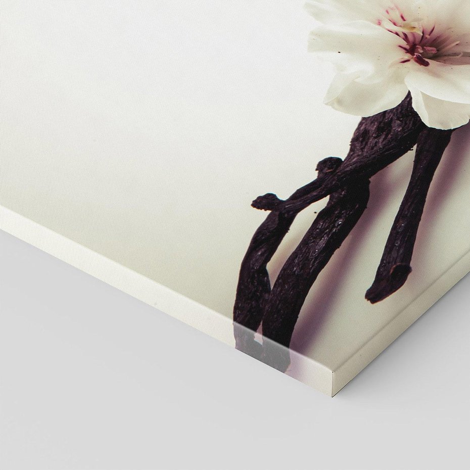 Obraz na płótnie 120x80 - Czuła delikatność wanilii - wanilia, kwiaty