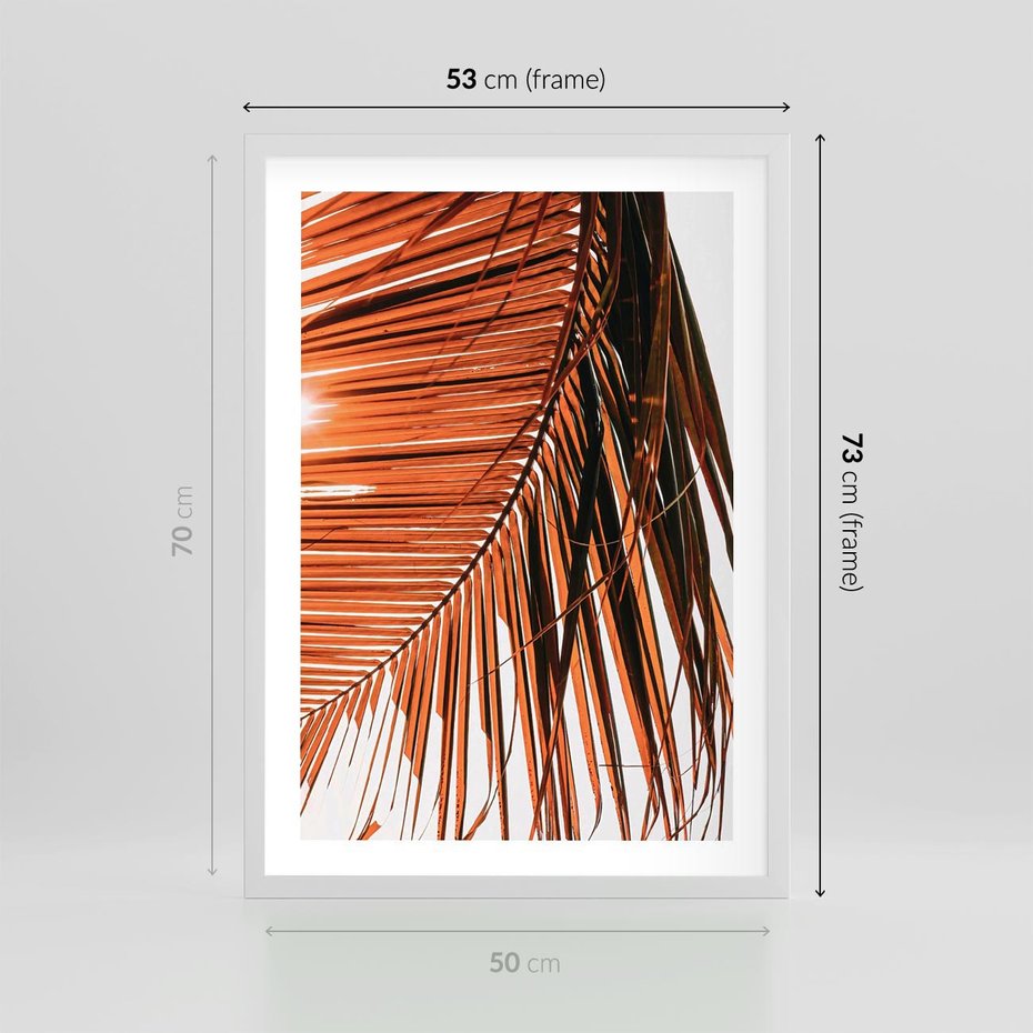 Plakat w ramie 50x70 - Słońce na Palmie - palma, promienie słońca - rama biała