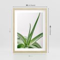 Plakat w ramie 30x40 - Zielone Piękno - aloes, liście - rama drewno