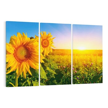 Obraz na płótnie 120x80 - Słoneczniki na malowniczej łące - słoneczniki, łąka