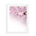 Plakat w ramie 50x70 - Kwitnąca Wiśnia - kwiaty, kwitnącej - rama biała