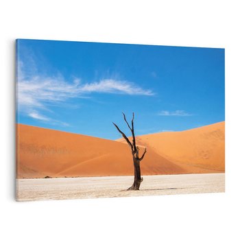 Obraz na płótnie 120x80 - Słońce i Suche Drzewo - pustynia, suche