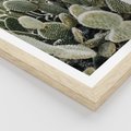 Plakat w ramie 50x70 - Kaktusowa Harmonia - kaktusy, fotografia - rama drewno