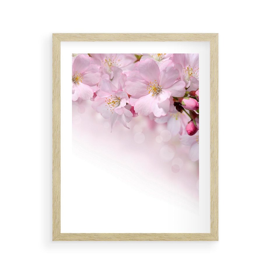 Plakat w ramie 40x50 - Kwitnąca Wiśnia - kwiaty, kwitnącej - rama drewno