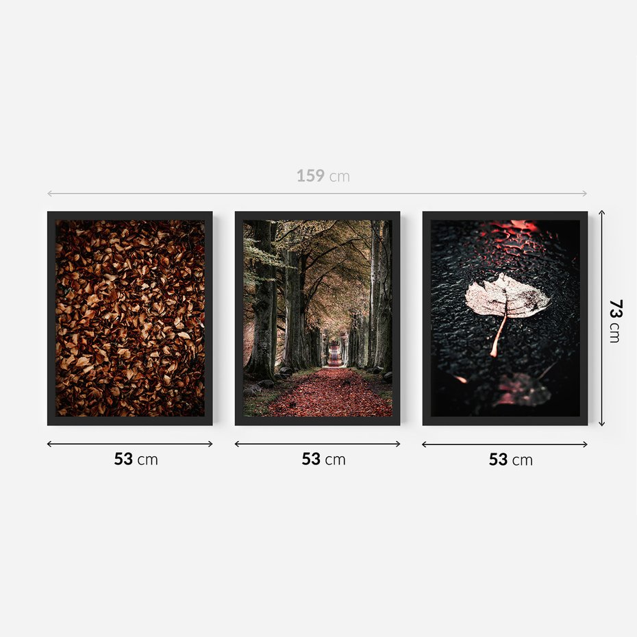 Zestaw obrazy w ramie 50x70 galeria - Jesień, ścieżka, klimatyczna - rama czarna