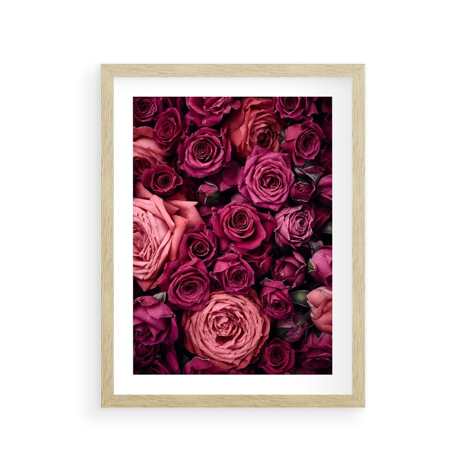 Plakat w ramie 30x40 - Róże - piękno kwiatów - róże, kwiaty - rama drewno