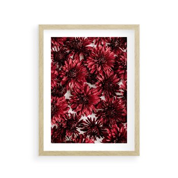 Plakat w ramie 50x70 - Energia Kwiatów - czerwone kwiaty, kompozycja - rama drewno
