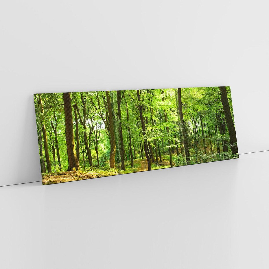 Obraz na płótnie 150x50 - Mistyka leśnych drzew - las, drzewa