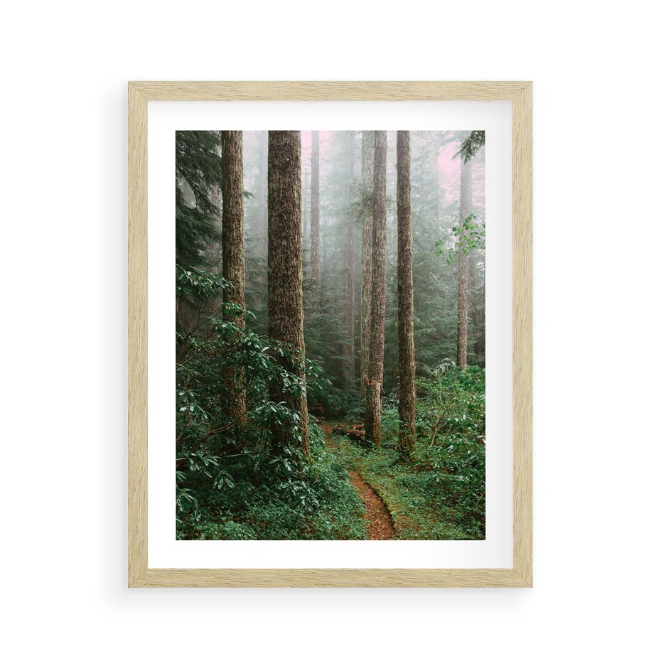 Plakat w ramie 40x50 - Mgliste Marzenia - artystyczna fotografia, las - rama drewno