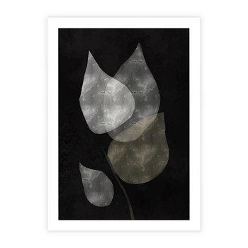 Plakat bez ramy 40x50 - Mroczne Złudzenia - abstrakcyjne liście, mroczna atmosfera