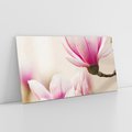 Obraz na płótnie 140x70 - Urok Magnolii - magnolie, kwiaty