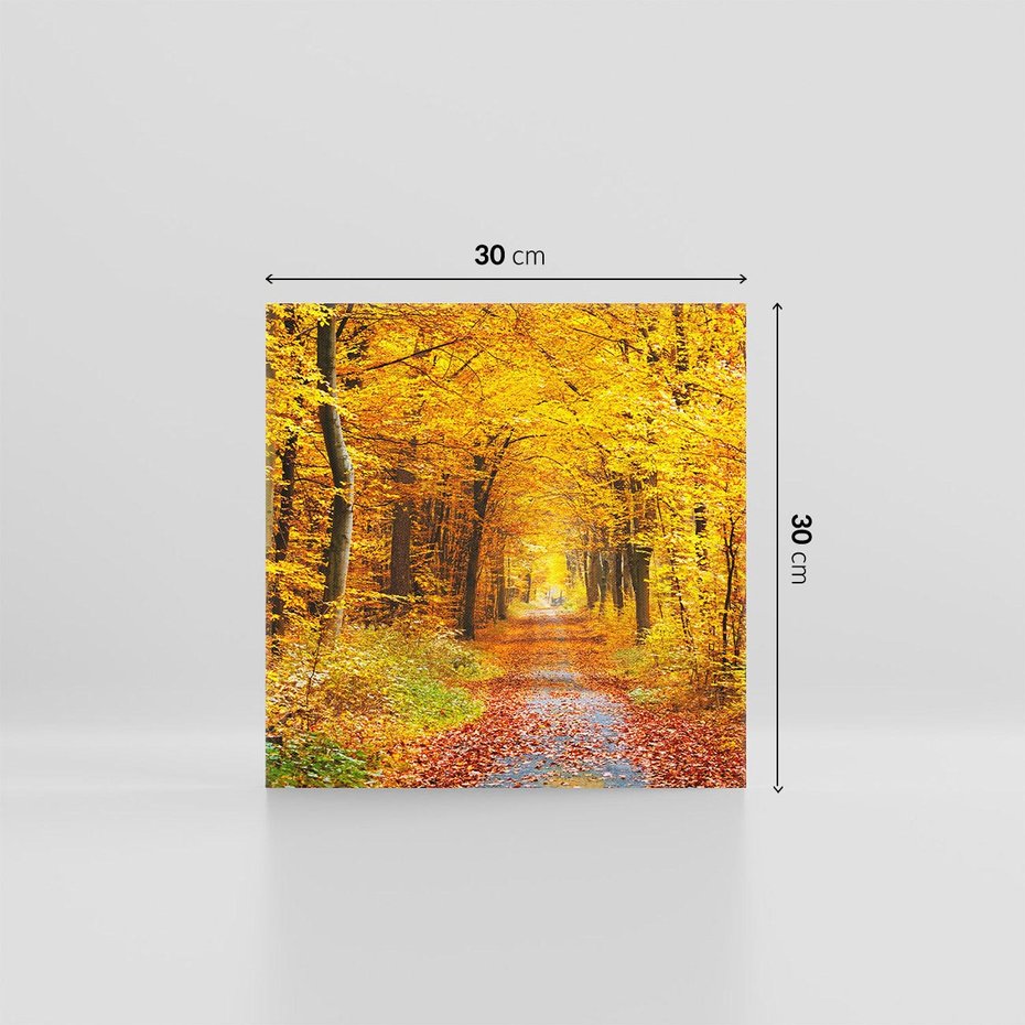 Obraz na płótnie 30x30 - Jesień w lesie - las, drzewa