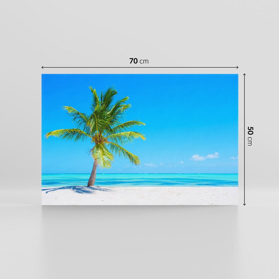 Obraz na płótnie 70x50 - Rajska Plaża na Karaibach - Karaiby, plaża