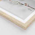 Plakat w ramie 40x50 - Gałęzie Bawełny na Białym Tle - gałęzie bawełny na białym tle, minimalizm - rama drewno