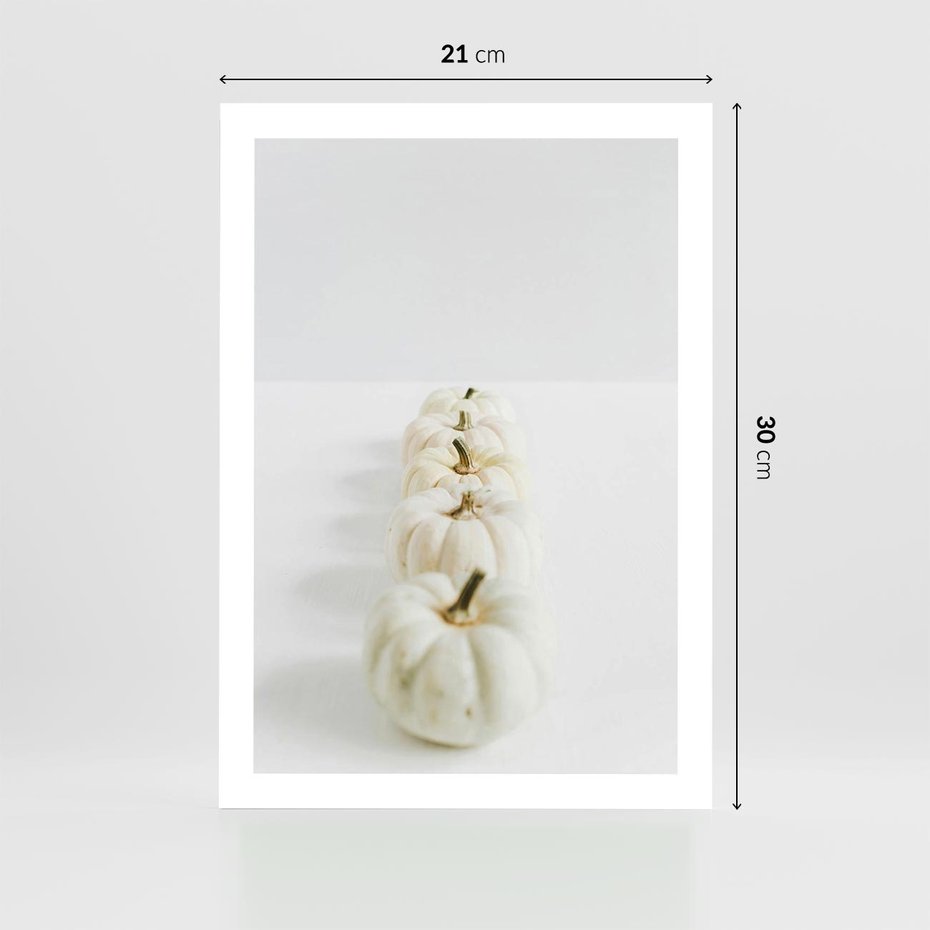 Plakat bez ramy 21x30 - Białe Dynie - białe dynie, jesień