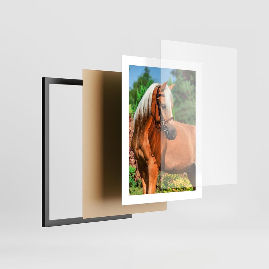 Plakat w ramie 30x40 - Elegancki wierzchowiec - koń, portret - rama czarna