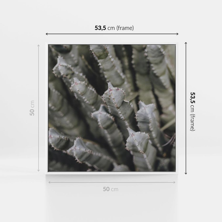 Obraz w ramie 50x50 - Boho kaktusy na pustyni - kaktusy, pustynia - rama biała