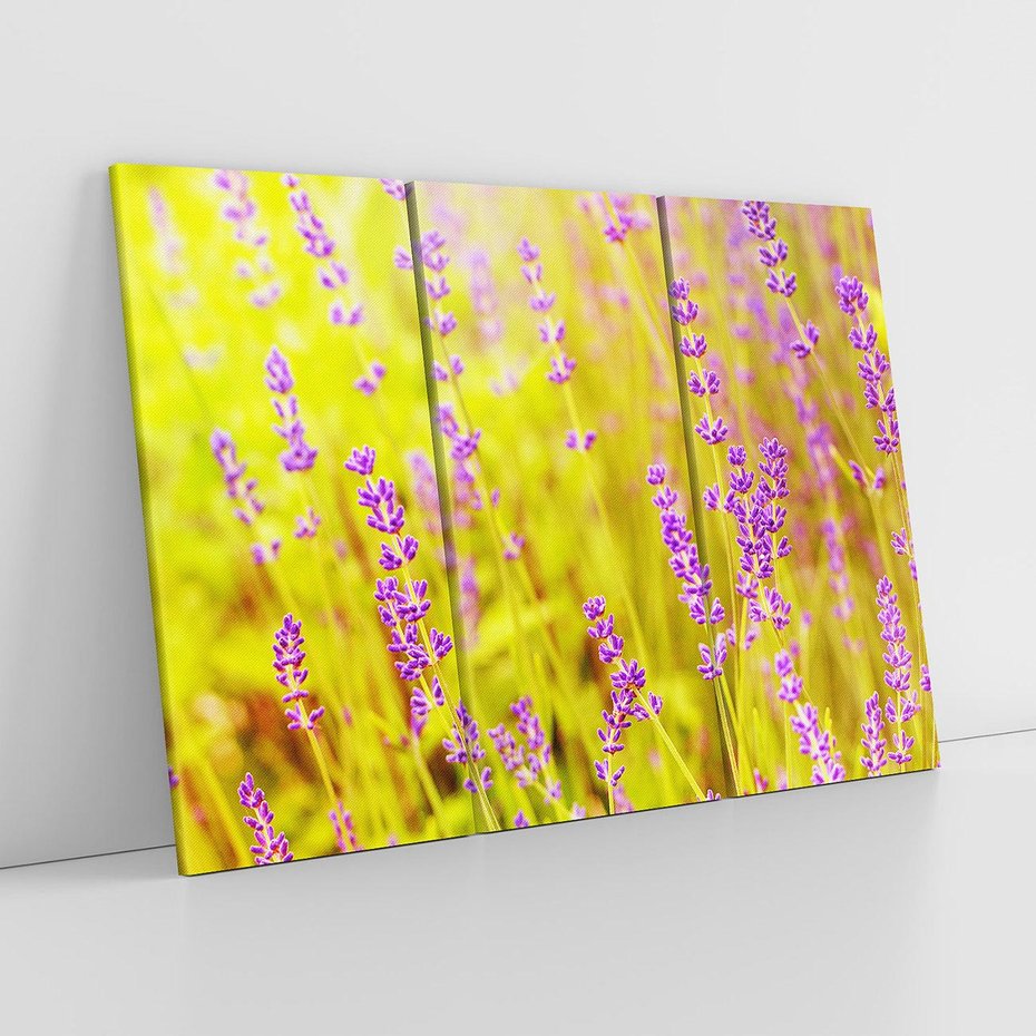 Obraz na płótnie 120x80 - Delikatność natury - lawenda, kwiaty