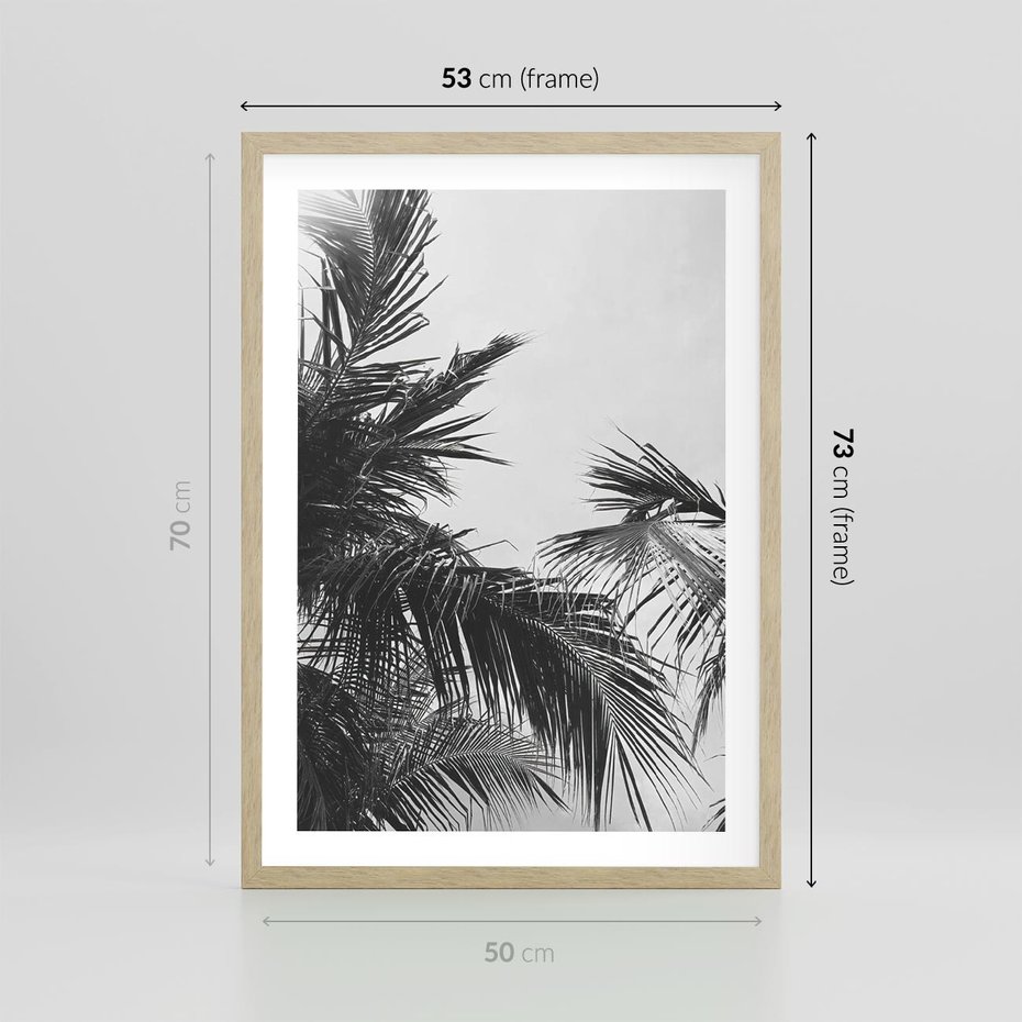 Plakat w ramie 50x70 - Palmy w Monochromii - palmy, tropikalne palmy - rama drewno