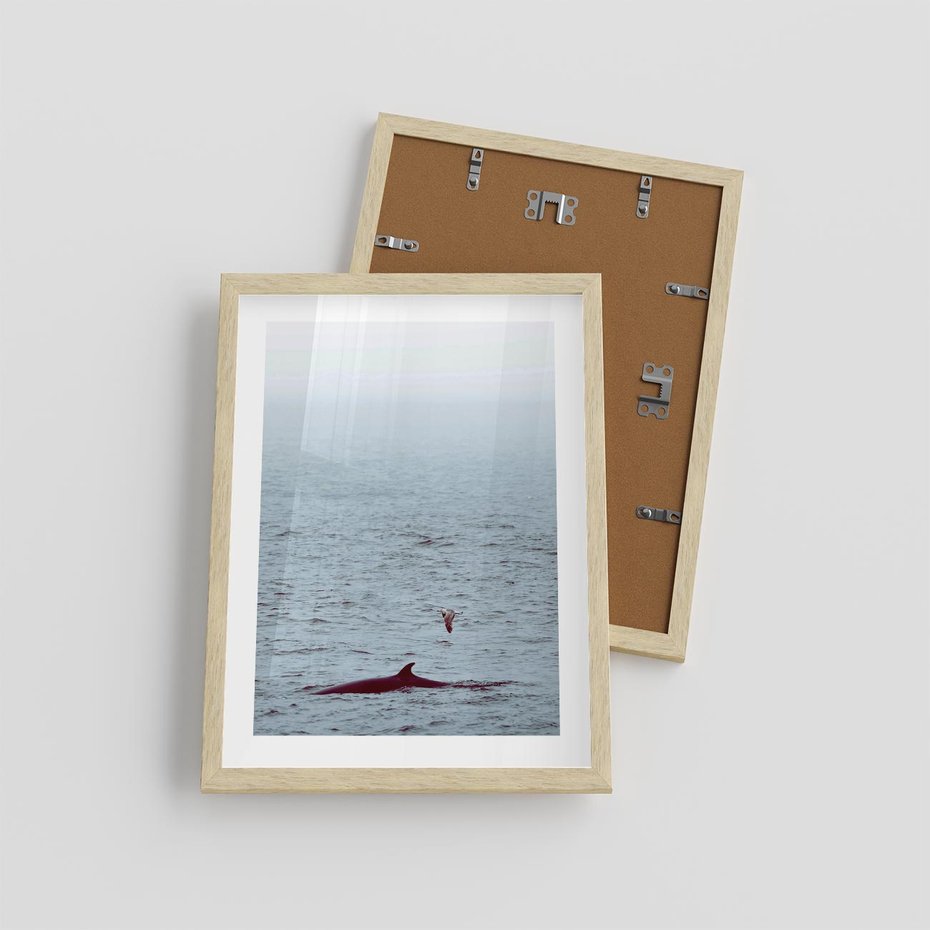 Plakat w ramie 30x40 - Spotkanie z Orką - morze, ocean - rama drewno