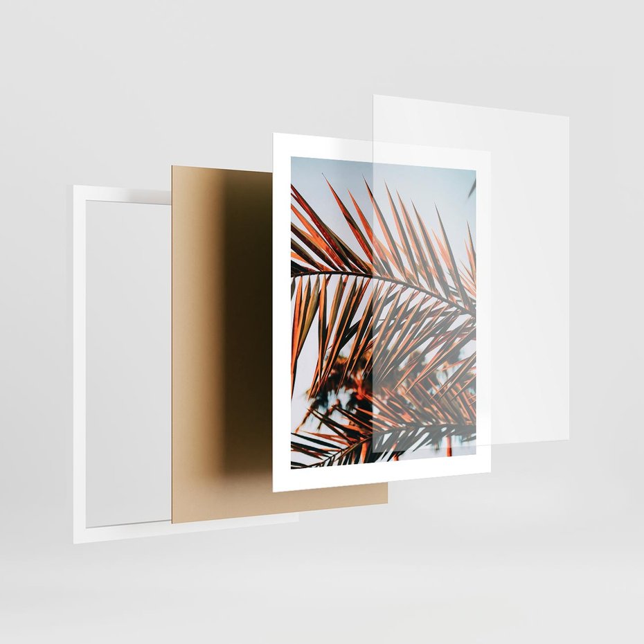 Plakat w ramie 40x50 - Tropikalna Harmonia - palma, liście palmy - rama biała